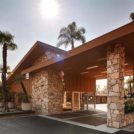 Best Western Pine Tree Motel Chino Exterior foto